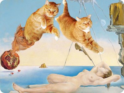 Dream Caused by the Flight of a Bee Around a Pomegranate a Second Before Awakening painting by salvador dali