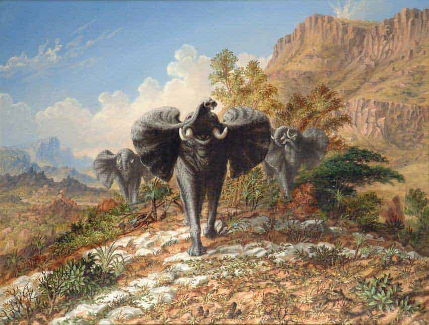 Elephants Charging over Quartos Country – Thomas Baines