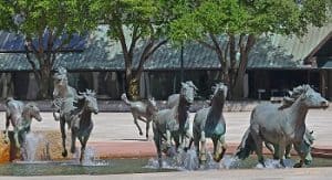 Mustangs at Las Colinas By Robert Glen