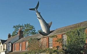 The Shark, Oxford, UK
