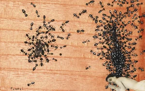 The ants